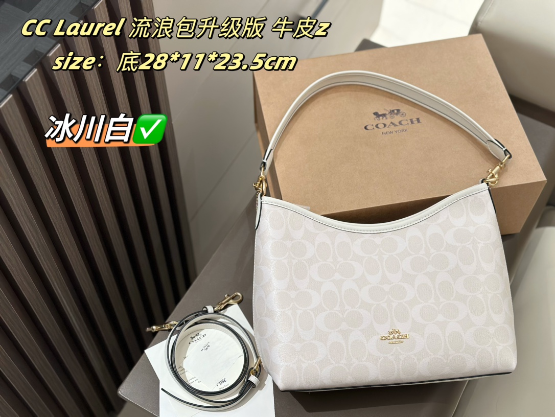 coach bag 231